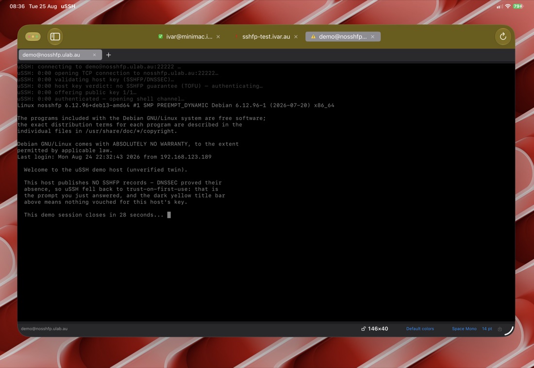 The unverified demo twin on iPad, dark-yellow title bar
